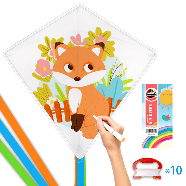 Mint's Colorful Life 10 Sets DIY Kite Kits for Kids Teens (10 Pack)+4 Sets Ready to Color Kites-14 sets US shipping