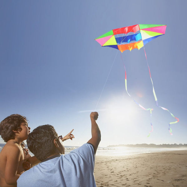 Mint's Colorful Life 3D Rainbow Box Beach Kites for Adults, Large with Long Tail and Solid Cloth