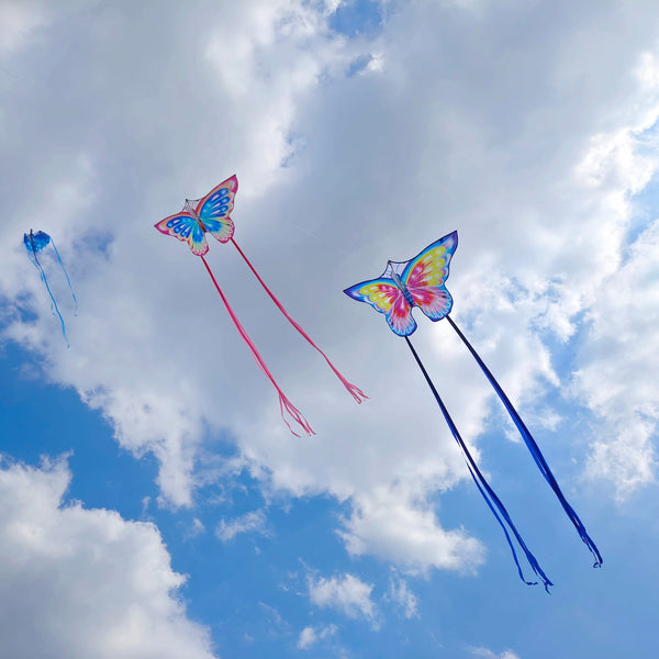 Kangyue Flying Hoofer Blue Butterfly Kite for Kids and Adults 754525154303