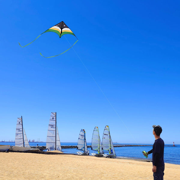 Kangyue Flying Hoofer Delta Kite for Kids Easy to Fly Kite 754525154341