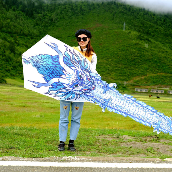 Kangyue Flying Hoofer Huge Chinese Dragon Kite for Kids and Adults 754525154280