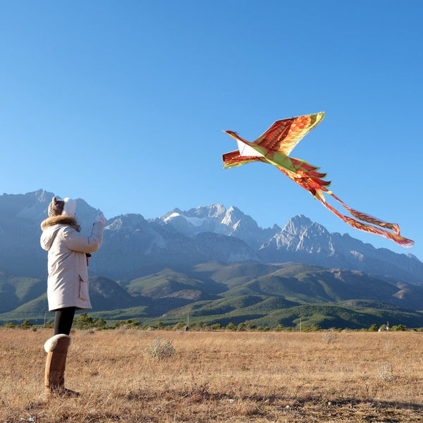 Kangyue Flying Hoofer Large Phoenix Bird Kite for Adults Kids (Red Yellow) 754525154310