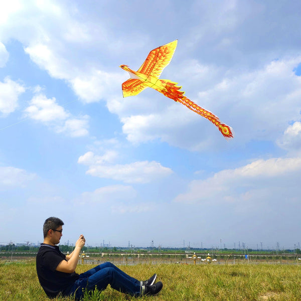 Kangyue Flying Hoofer Large Phoenix Bird Kite for Adults Kids (Red Yellow) 754525154310