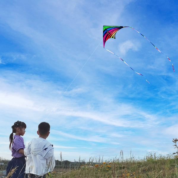 Kangyue Flying Hoofer Rainbow Delta Kite for Kids Adults 754525154334
