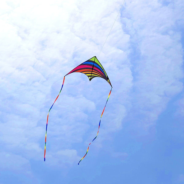 Kangyue Flying Hoofer Rainbow Delta Kite for Kids Adults 754525154334