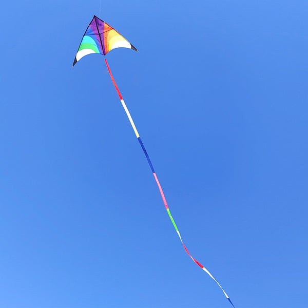 Kangyue Giant Rainbow Kite for Adults, Easy to Fly Large Beach Kite 50132665394