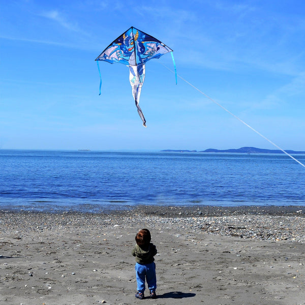 Kangyue Kaiciuss 63‘’ Dragon Kite for Kids Boys Easy to Fly 50132665486