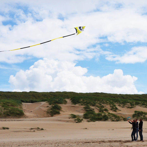 Kangyue Kaiciuss 98'' Delta Giant Beach Kite for Adults Easy to Fly-Bumblebee 50132665110