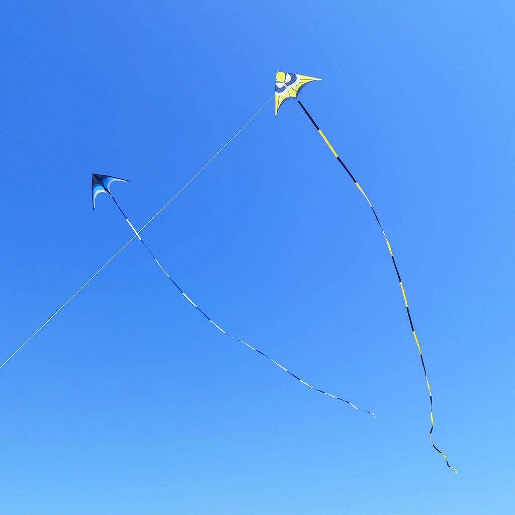 Kaiciuss Kite String Hoop Kite for Kids, Kite Spool Georgia
