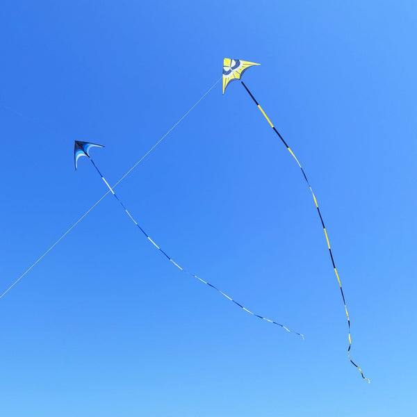 Kangyue Kaiciuss 98'' Delta Giant Beach Kite for Adults Easy to Fly-Bumblebee 50132665110