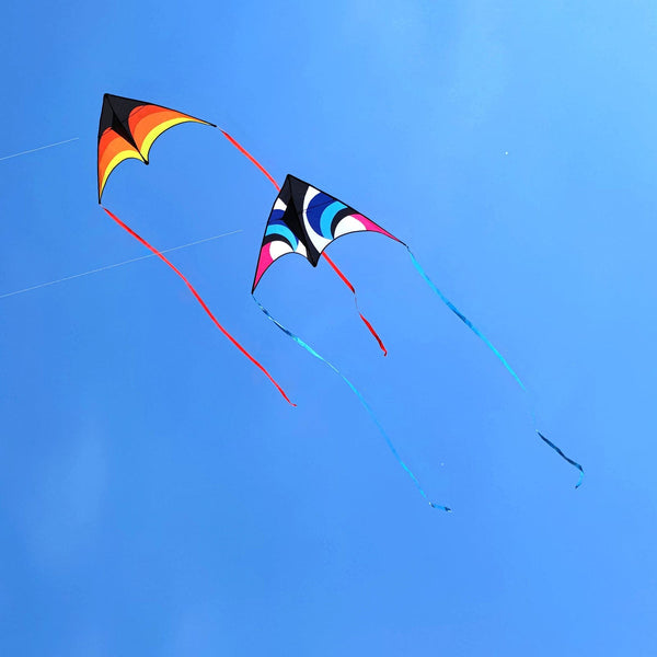 Kangyue Kaiciuss Delta Kite for Kids & Adults Easy to Fly Large, Single Line Beach Kite 50132665448