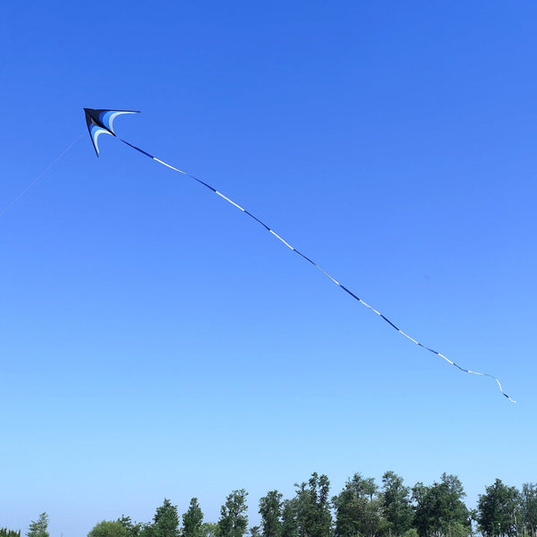 Kangyue Kaiciuss Giant Delta Kite for Adults, Huge Oversized Single Line Beach Kite 50132665103