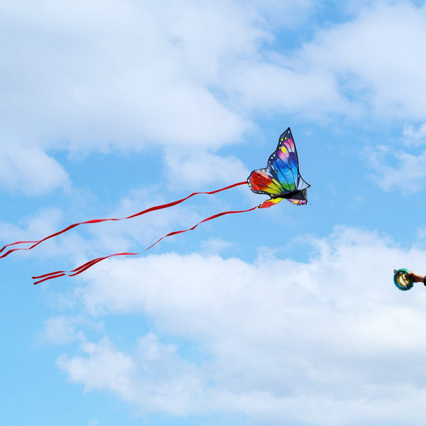 Kangyue Kaiciuss Rainbow Butterfly Kite for Kids & Adults 50132665400