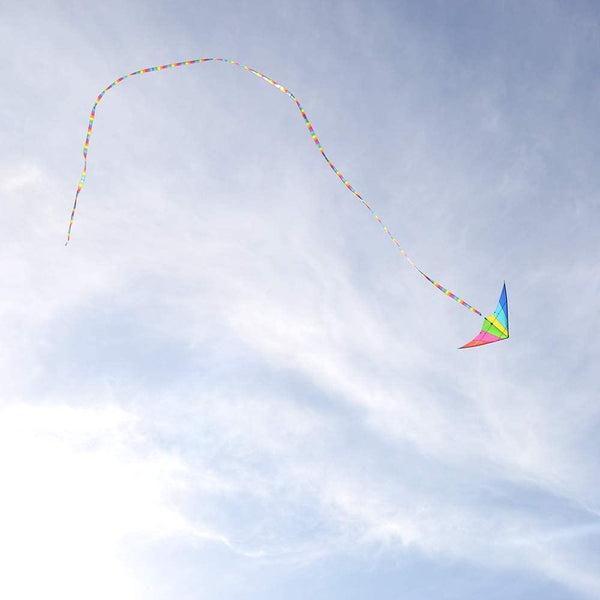 Mint's Colorful Life Kite Streamer Tail (Rainbow) 656516056224