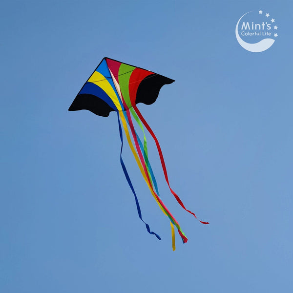 Kangyue Mint's Colorful Life Delta Flying Rainbow Kite 00656516039319