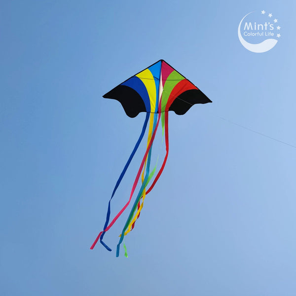 Kangyue Mint's Colorful Life Delta Flying Rainbow Kite 00656516039319