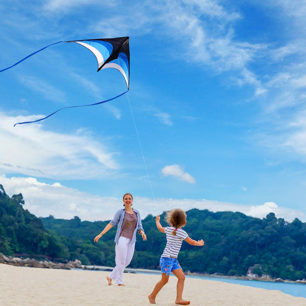 Kangyue Mint's Colorful Life Delta Kite for Kids & Adults (Black Blue) 00191892515977