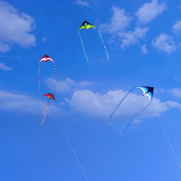 Kangyue Mint's Colorful Life Delta Kite for Kids & Adults (Black Blue) 00191892515977
