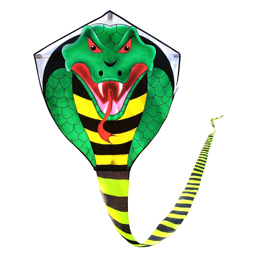 Kangyue Mint's Colorful Life Large Cobra Kite with Super Long Tail 00783057800488
