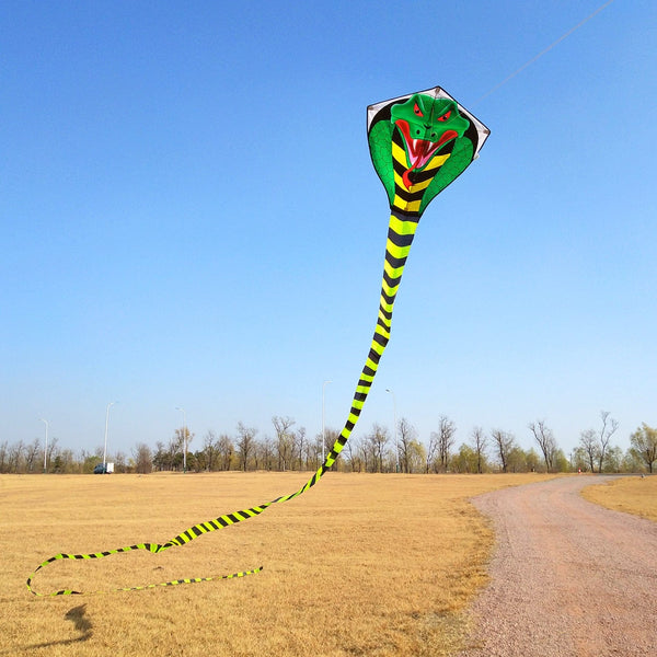 Kangyue Mint's Colorful Life Large Cobra Kite with Super Long Tail 00783057800488