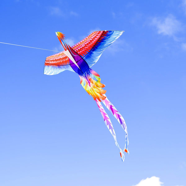 Mint's Colorful Life Mint's Colorful Life Large Rainbow Phoenix Kite for Kids & Adults 00191892516004