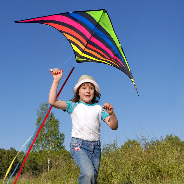 Kangyue Mint's Colorful Life Rainbow Delta Kite for Kids & Adults (Multicolor) 00191892515786