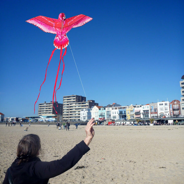 Mint's Colorful Life Pink Kite for Kids Adults, Easy to Fly Large Flamingo Kite 00191892516028