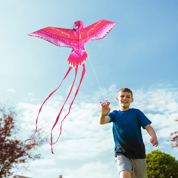 Mint's Colorful Life Pink Kite for Kids Adults, Easy to Fly Large Flamingo Kite 00191892516028