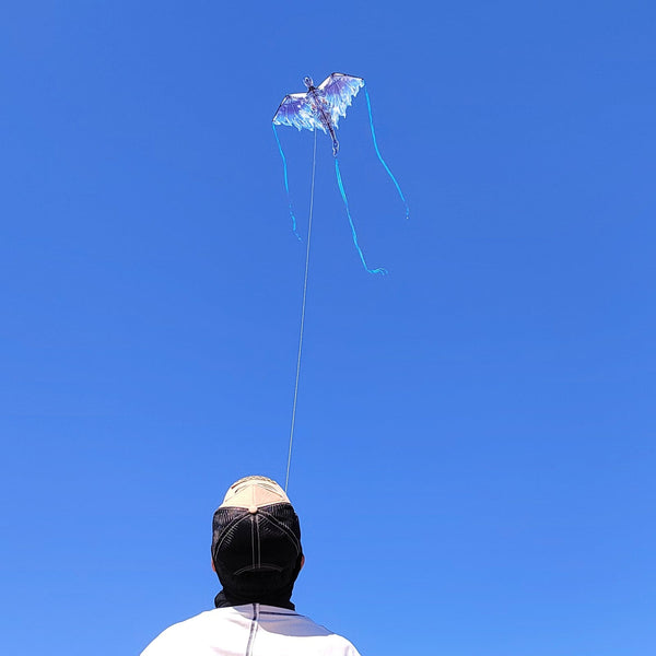 Kangyue Simxkai Dragon Kite for Kids & Adults (Ice) 50132665318