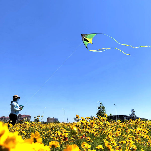 Kangyue Simxkai Green Large Delta Kites for Adults & Kids Easy to Fly Beach Kite 50132665387