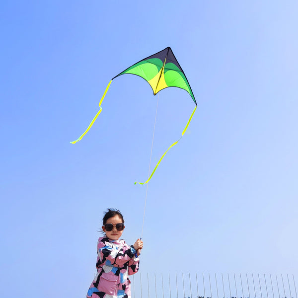 Kangyue Simxkai Green Large Delta Kites for Adults & Kids Easy to Fly Beach Kite 50132665387