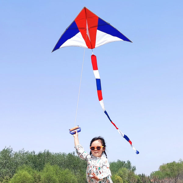 Kangyue Simxkai Large Delta Kites for Adults & Kids, Easy to Fly & Assemble 50132665370