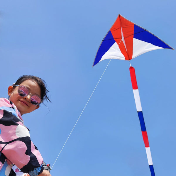 Kangyue Simxkai Large Delta Kites for Adults & Kids, Easy to Fly & Assemble 50132665370
