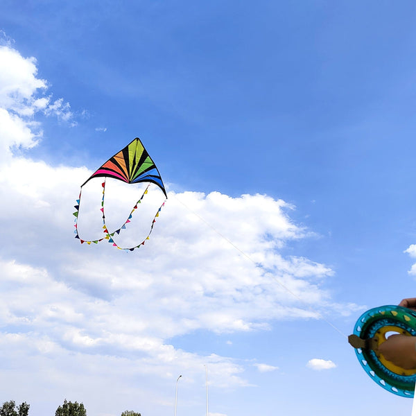 Kangyue Simxkai Large Rainbow Delta Kite for Kids & Adults Easy to Fly 50132665363
